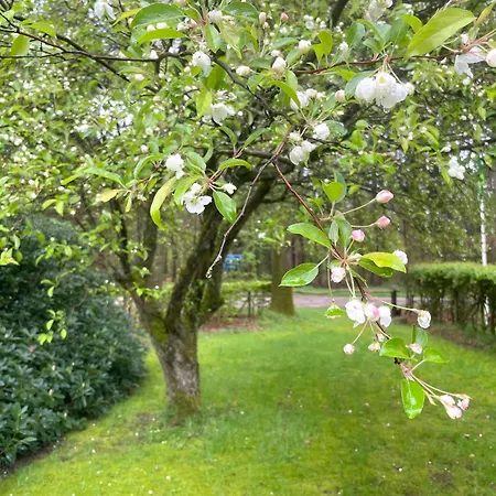 Holiday home Gastenhuis Deurnink